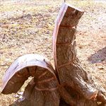 tronco aperto - 2005 | salice h 130 cm