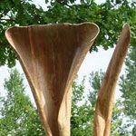 ipersaprofita - 2006 | corteccia di pioppo h 190 cm